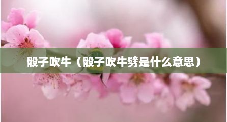 骰子吹牛（骰子吹牛劈是什么意思）