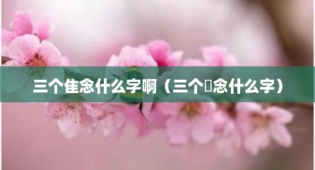 三个隹念什么字啊（三个垚念什么字）