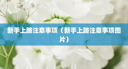 新手上路注意事项（新手上路注意事项图片）