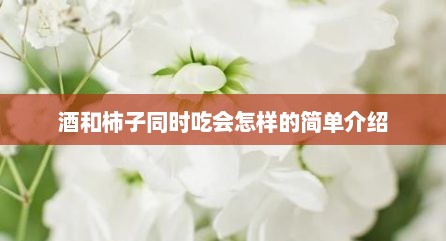 酒和柿子同时吃会怎样的简单介绍