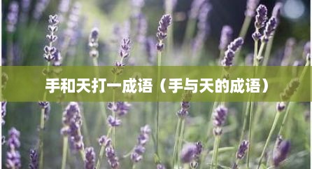 手和天打一成语（手与天的成语）