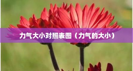力气大小对照表图（力气的大小）