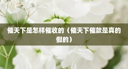 催天下是怎样催收的（催天下催款是真的假的）