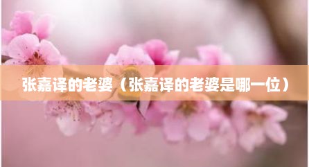 张嘉译的老婆（张嘉译的老婆是哪一位）