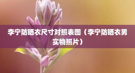 李宁防晒衣尺寸对照表图（李宁防晒衣男实物照片）