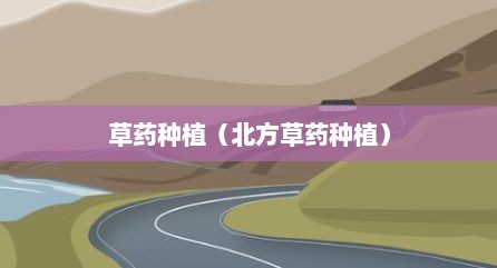 草药种植（北方草药种植）