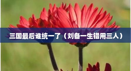 三国最后谁统一了（刘备一生错用三人）