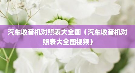 汽车收音机对照表大全图（汽车收音机对照表大全图视频）