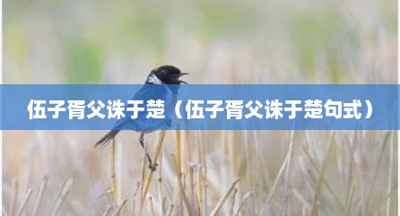 伍子胥父诛于楚（伍子胥父诛于楚句式）