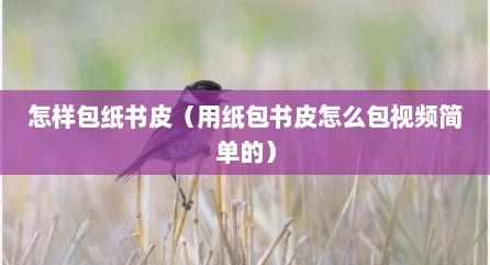 怎样包纸书皮（用纸包书皮怎么包视频简单的）
