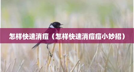 怎样快速消痘（怎样快速消痘痘小妙招）