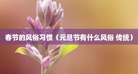 春节的风俗习惯（元旦节有什么风俗 传统）