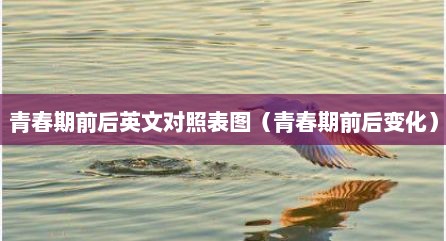 青春期前后英文对照表图（青春期前后变化）