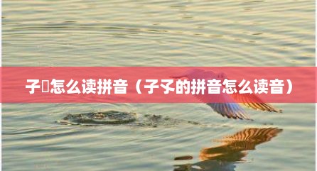 子脩怎么读拼音（子孓的拼音怎么读音）
