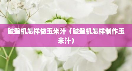 破壁机怎样做玉米汁（破壁机怎样制作玉米汁）