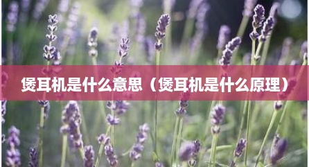 煲耳机是什么意思（煲耳机是什么原理）