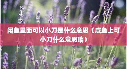 闲鱼里面可以小刀是什么意思（咸鱼上可小刀什么意思哦）
