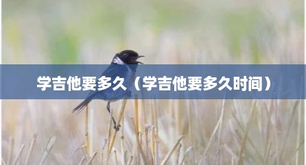 学吉他要多久（学吉他要多久时间）