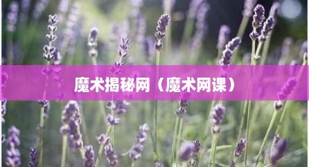 魔术揭秘网（魔术网课）