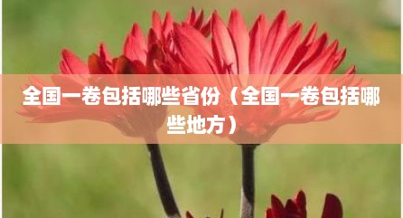 全国一卷包括哪些省份（全国一卷包括哪些地方）