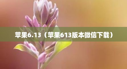 苹果6.13（苹果613版本微信下载）