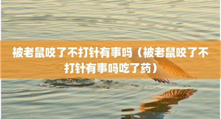 被老鼠咬了不打针有事吗（被老鼠咬了不打针有事吗吃了药）
