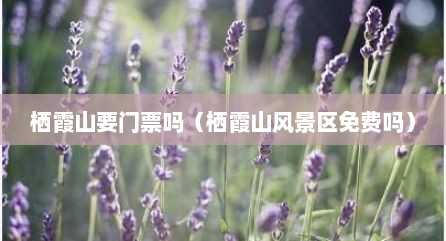 栖霞山要门票吗（栖霞山风景区免费吗）