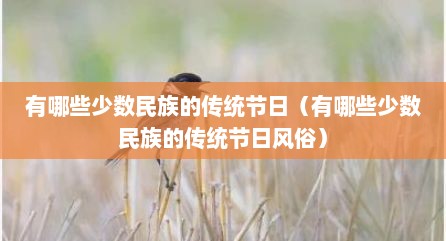 有哪些少数民族的传统节日（有哪些少数民族的传统节日风俗）