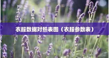 衣服数据对照表图（衣服参数表）