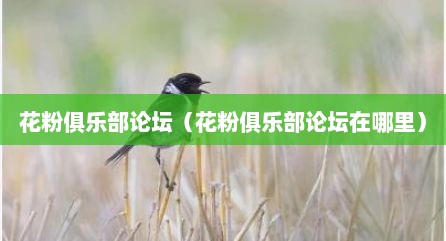 花粉俱乐部论坛（花粉俱乐部论坛在哪里）