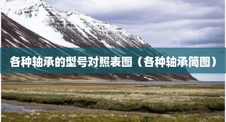 各种轴承的型号对照表图（各种轴承简图）