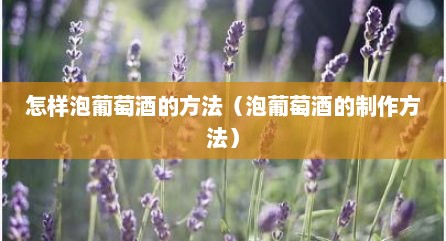 怎样泡葡萄酒的方法（泡葡萄酒的制作方法）