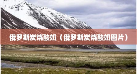 俄罗斯炭烧酸奶（俄罗斯炭烧酸奶图片）