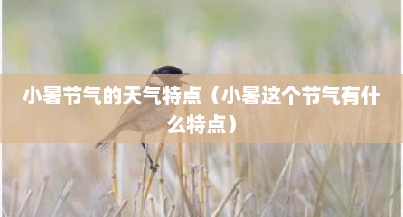 小暑节气的天气特点（小暑这个节气有什么特点）