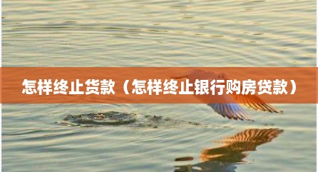 怎样终止货款（怎样终止银行购房贷款）
