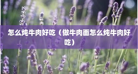 怎么炖牛肉好吃（做牛肉面怎么炖牛肉好吃）