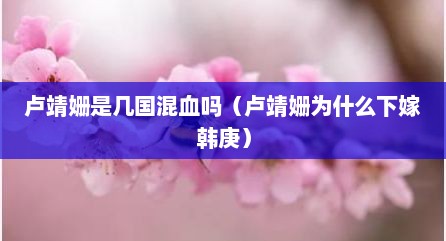 卢靖姗是几国混血吗（卢靖姗为什么下嫁韩庚）