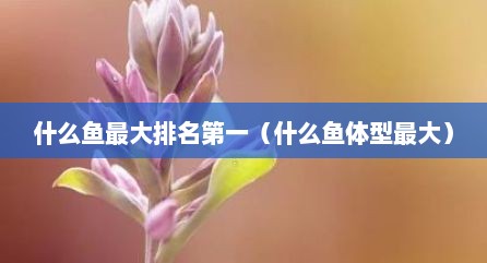 什么鱼最大排名第一（什么鱼体型最大）