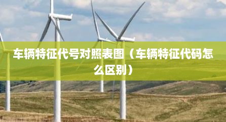 车辆特征代号对照表图（车辆特征代码怎么区别）