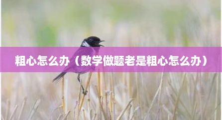 粗心怎么办（数学做题老是粗心怎么办）