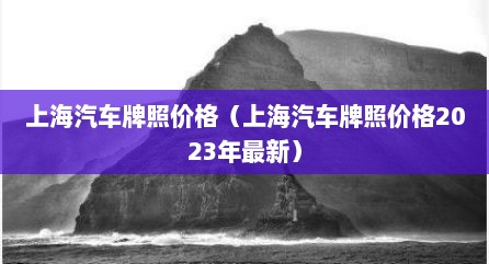 上海汽车牌照价格（上海汽车牌照价格2023年最新）