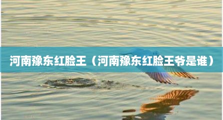 河南豫东红脸王（河南豫东红脸王爷是谁）