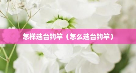 怎样选台钓竿（怎么选台钓竿）