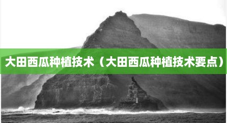 大田西瓜种植技术（大田西瓜种植技术要点）