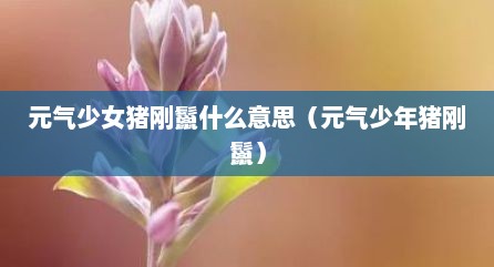 元气少女猪刚鬣什么意思（元气少年猪刚鬣）