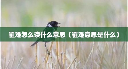罹难怎么读什么意思（罹难意思是什么）