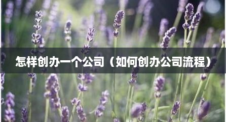 怎样创办一个公司（如何创办公司流程）