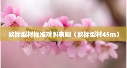 欧标型材标准对照表图（欧标型材45m）