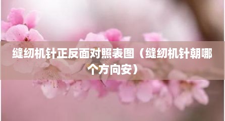 缝纫机针正反面对照表图（缝纫机针朝哪个方向安）