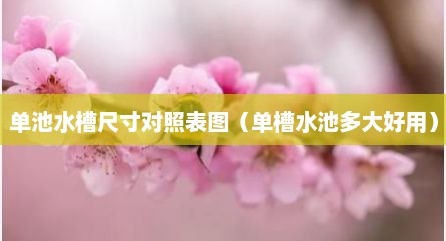 单池水槽尺寸对照表图（单槽水池多大好用）